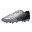 Silvery Grey