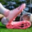 Bright Pink Color
