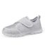 Silvery Grey