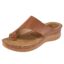Light Brown-1